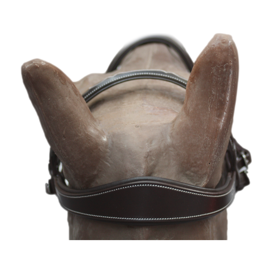 Brida Inglesa Combinada Amia Anatomic