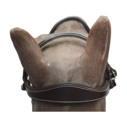 Brida Inglesa Combinada Amia Anatomic