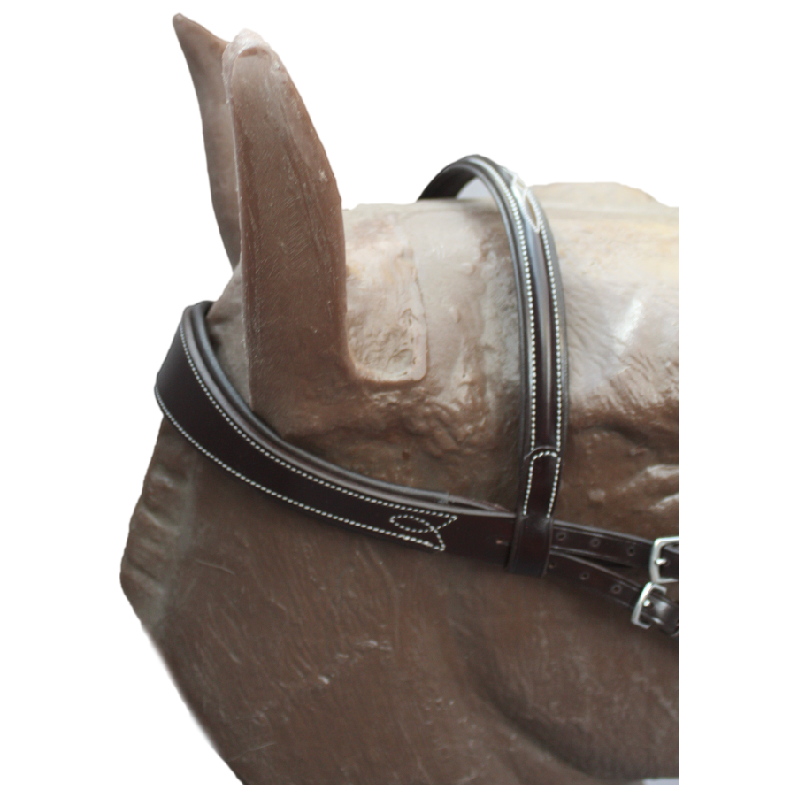 Brida Inglesa Combinada Amia Anatomic