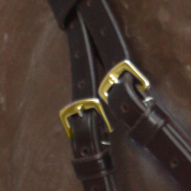 Brida Inglesa Combinada Amia Anatomic