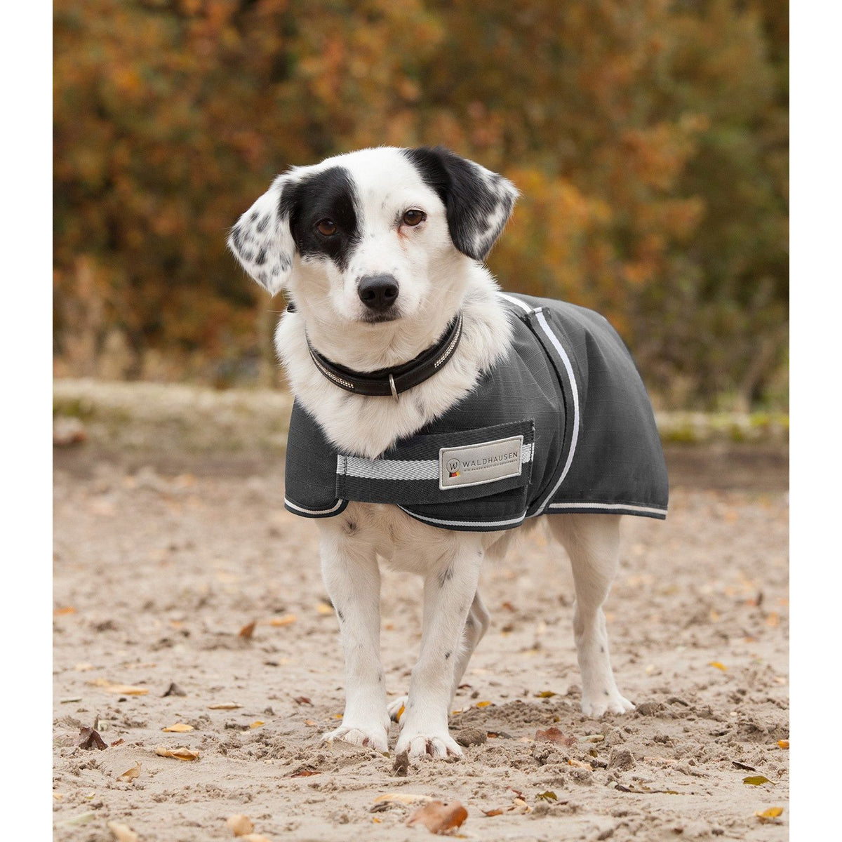 Cobija para Perro Waldhausen Comfort Line Lopetzki
