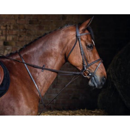 Martingala Fija Ekkia Riding World