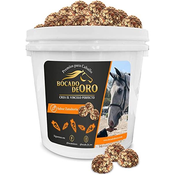 Premios para Caballo Bocado de Oro
